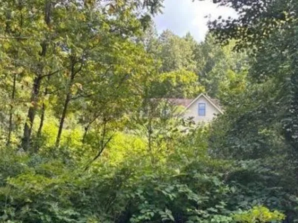 425 Blaze Br, Jenkins, KY 41537