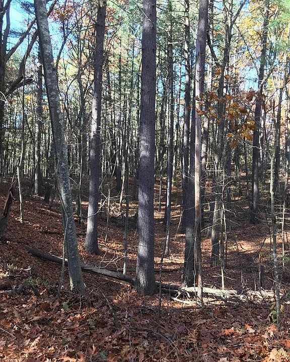2nd image of 36A College Rd