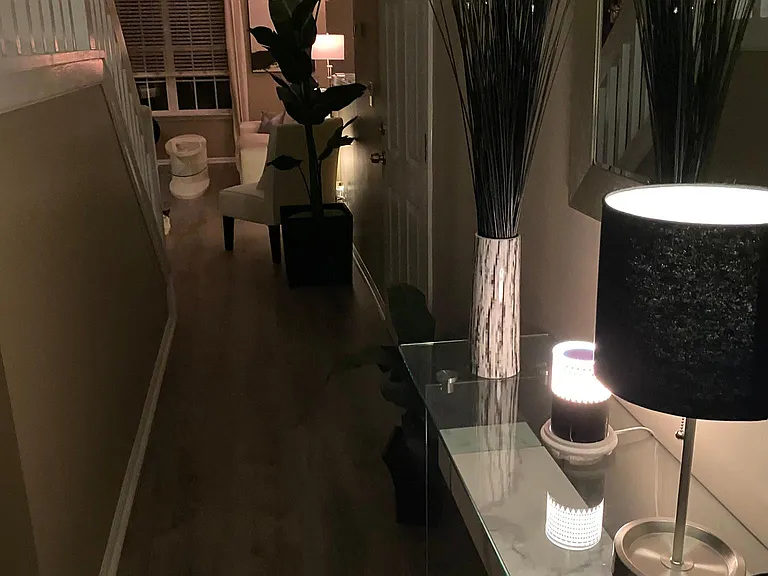 11911 Maria Ester Ct — Photo 10