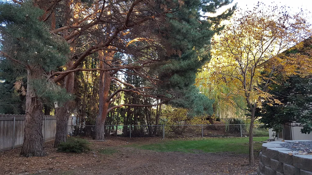 Property photo 5
