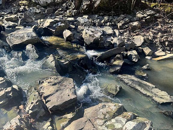 3rd image of Polk Rd #147