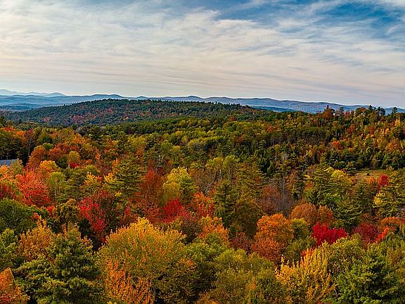 Looking toward Green Mtns 
