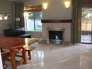 living Area & Fireplace
