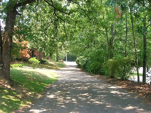 Shaded Lane