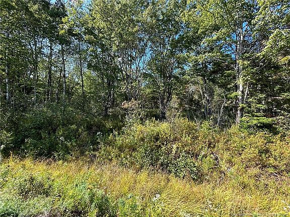 4th image of 2 Upper Midland Rd Lot 26