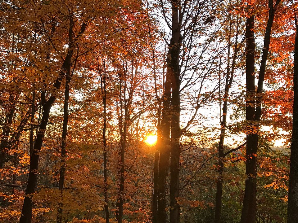 Sunrise in the fall