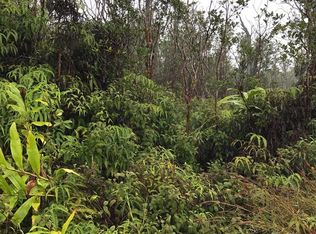 11 3158th #2, Volcano, HI 96785