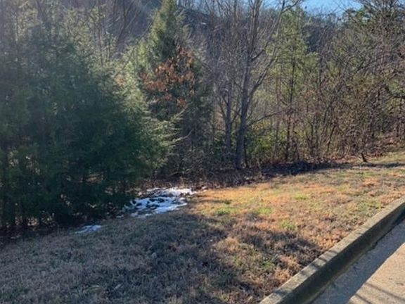 4th image of 15 Mountain Dreams Way Lot 15
