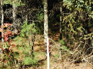 26XX E Ellison Lake Rd, Solon Springs, WI 54873