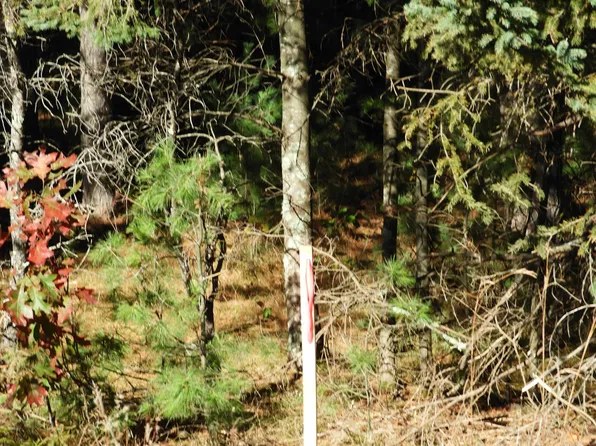26XX E Ellison Lake Rd, Solon Springs, WI 54873
