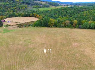 125I The Pines Dr, Marlinton, WV 24954