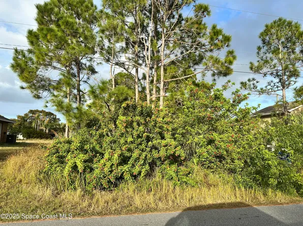 1485 Tidewell St SE, Palm Bay, FL 32909