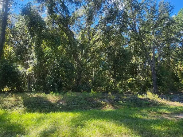 915 Paradise Blvd, Georgetown, FL 32139