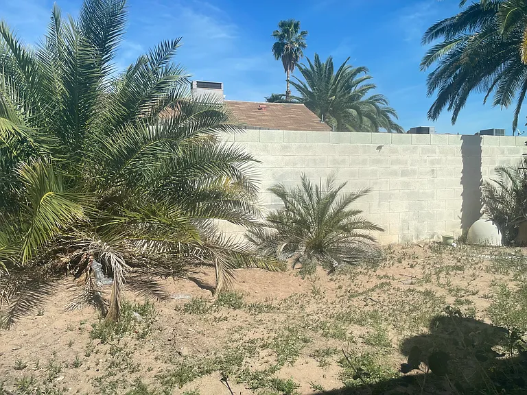 7262 Vireo Dr — Photo 13
