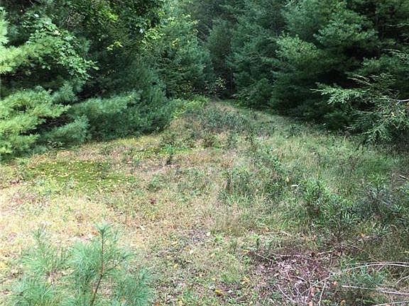 2nd image of Forestburgh
