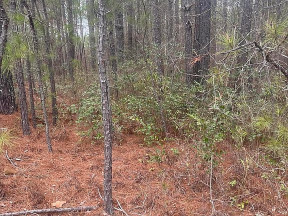 3rd image of Lot 6 & 7 Bumpy Lane