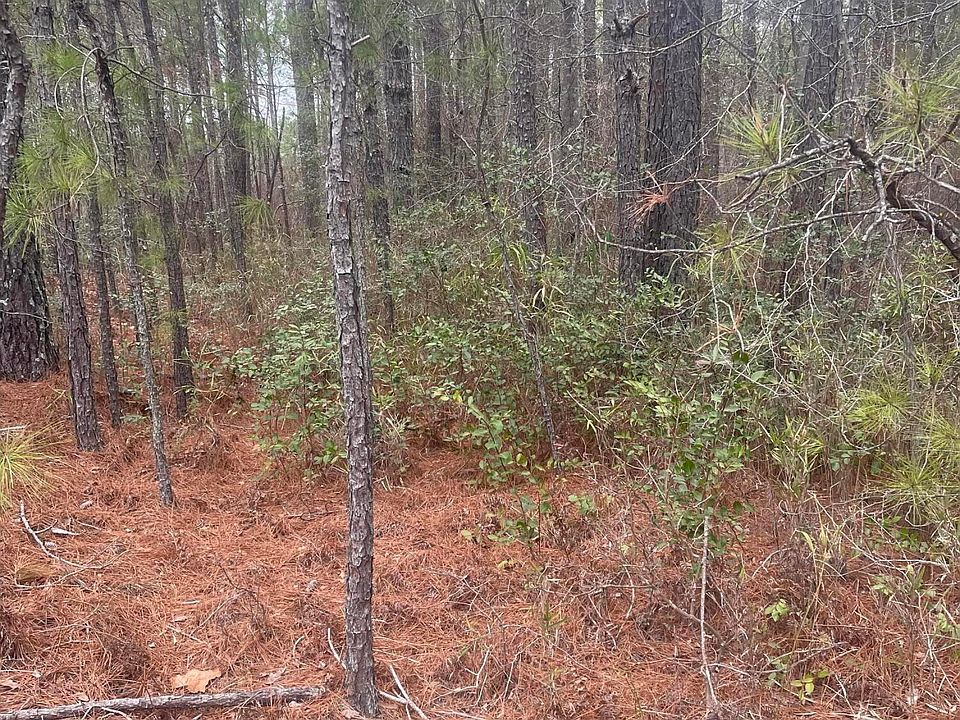 2nd image of LOT 6 Bumpy Ln