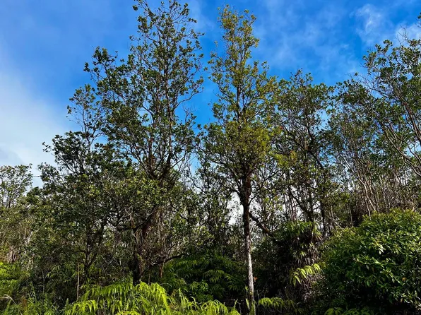 Mailenani Rd Lot 19, Volcano, HI 96785