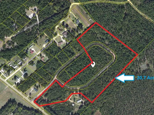 1 Anisa Dr, North, SC 29112