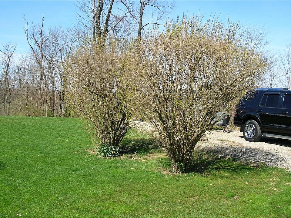 1st image of 6 Wylie Ave