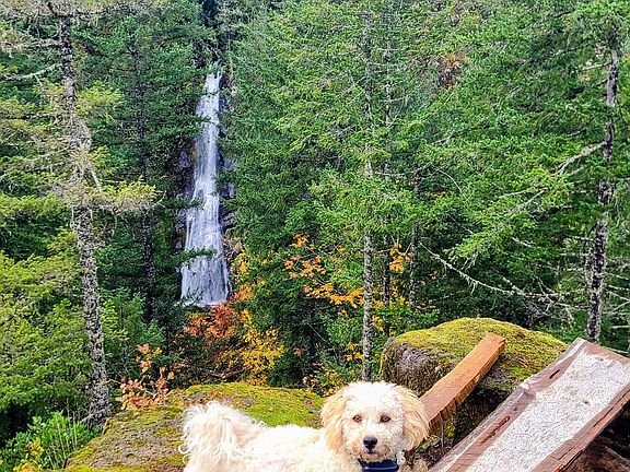 2nd image of Boulder Rdg