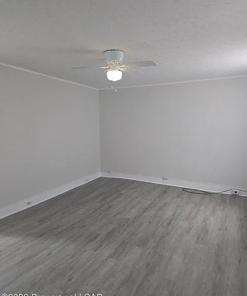 513 Oak St #2 — Photo 4