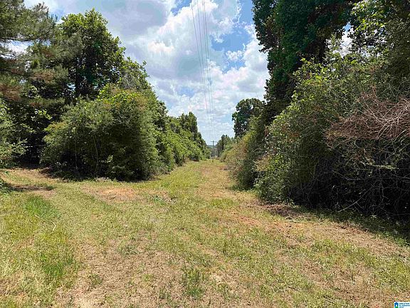 2nd image of 0 County Road 87 #3