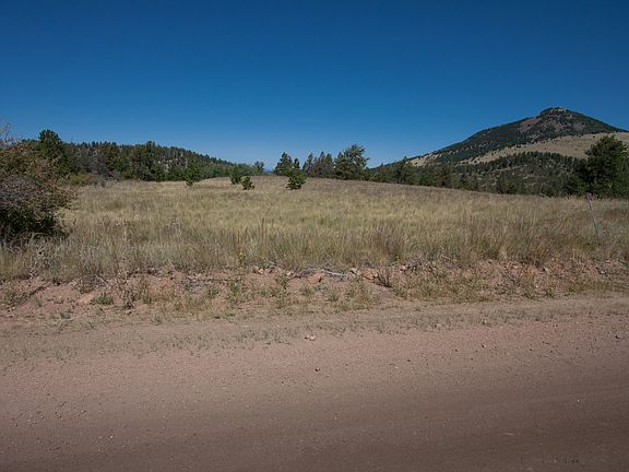 3rd image of 343 Moffat Dr