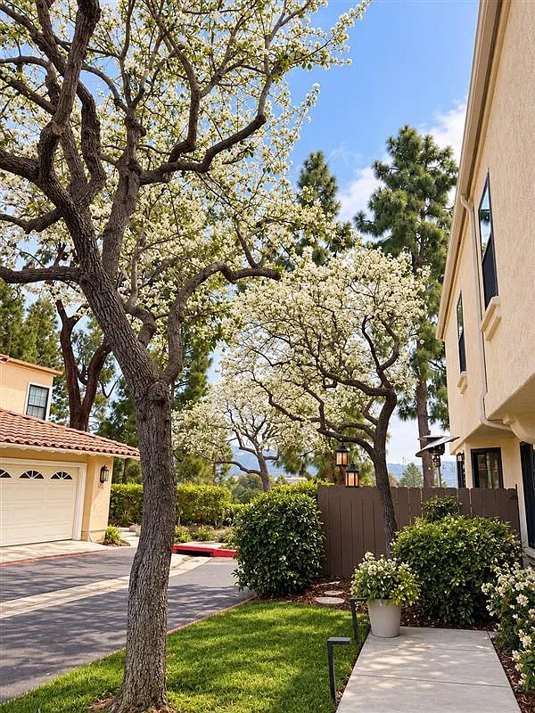 3 bed, 2.5 bath, 1333 sqft, $5,399 — Photo 2