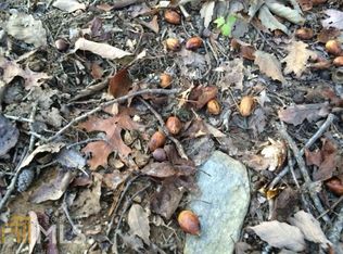 3515 Treat Mountain Rd, Cedartown, GA 30125