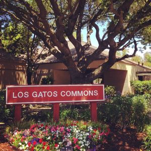 453 Alberto Way UNIT D242, Los Gatos, CA, 95032