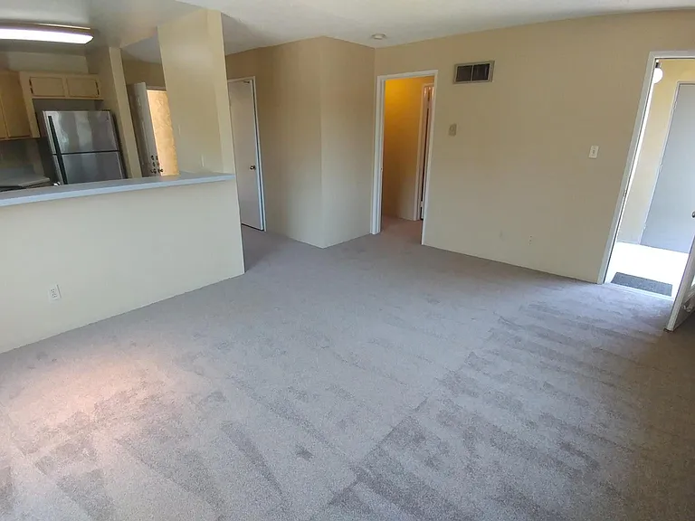7425 Charmant Dr #2814 — Photo 10