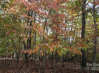 69 Adirondack Ln, Bostic, NC 28018