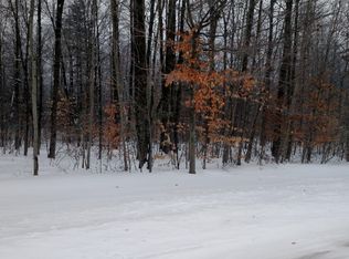 PARCEL Nancy Dr #H, Sand Lake, MI 49343