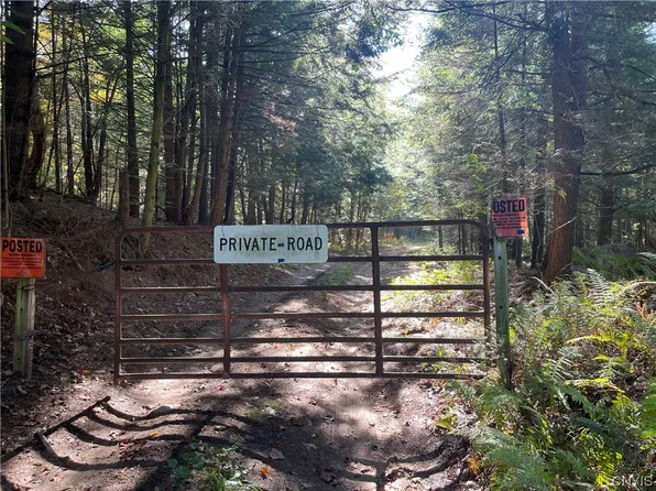 4184 Factory Rd #4, Natural Bridge, NY 13665