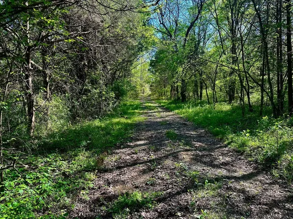 Cedar Grove Rd, Chapel Hill, TN 37034