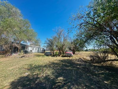 Maple, Aguilar, CO, 81020