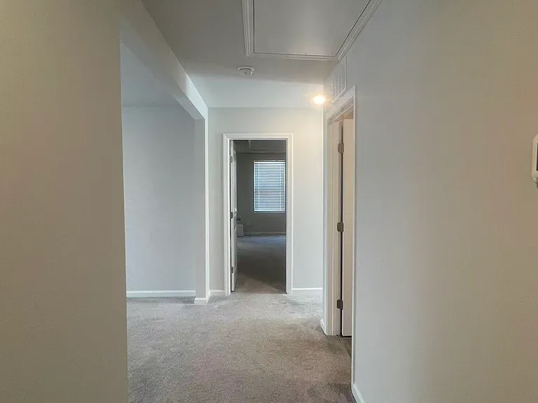 3113 Star Gazing Ln — Photo 11