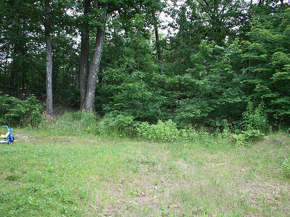 view from the back yard 