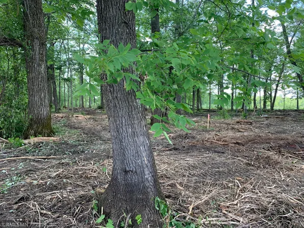 65 Xxx State Hwy, McGregor, MN 55760