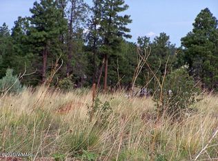 2716 Trevor Way, Overgaard, AZ 85933