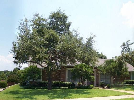 1st image of 1422 Pine Hill Dr