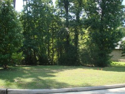 165 Pine Branch Dr, Montgomery, TX, 77356