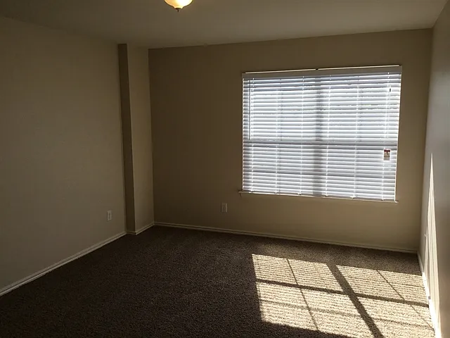 9019 Walnut Spgs — Photo 14