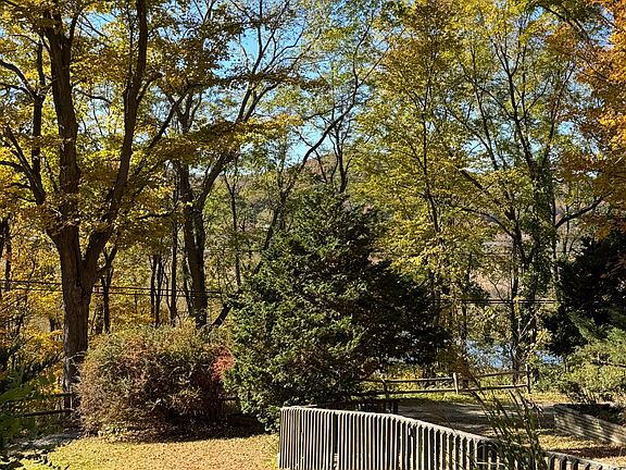 view from front deck