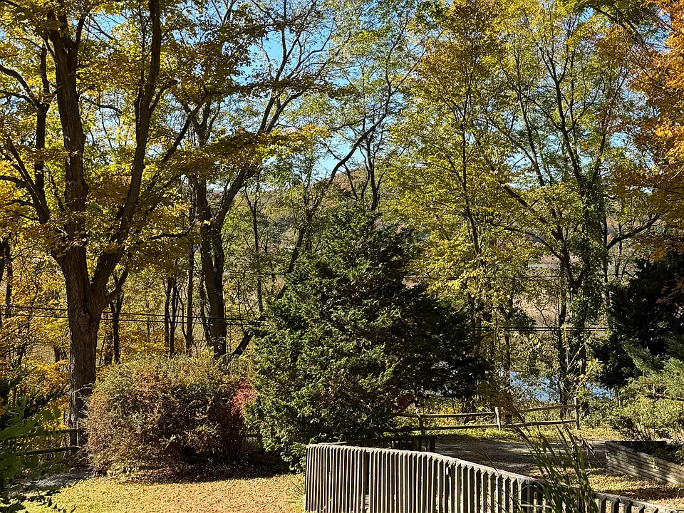 view from front deck