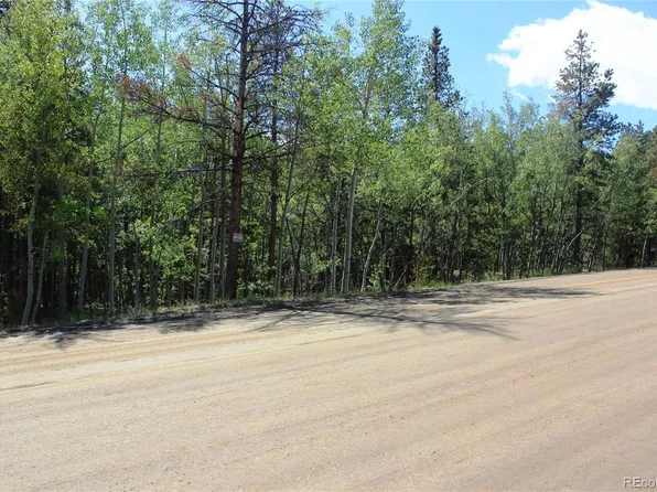 6050 Virginia Canyon Road LOT 6050, Central City, CO 80427