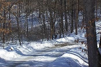 2nd image of 1650 Forest Hls