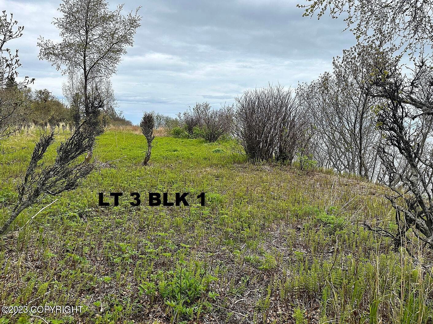 L3B1 My Dr, Ninilchik, AK 99639 Zillow