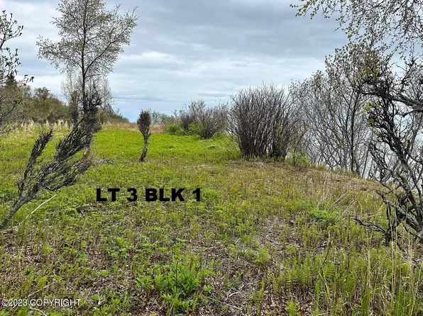 L3-B1 My Dr, Ninilchik, AK 99639